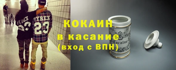 прущие грибы Няндома