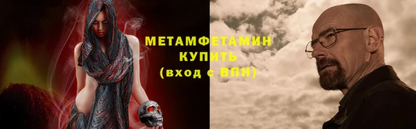 прущие грибы Няндома