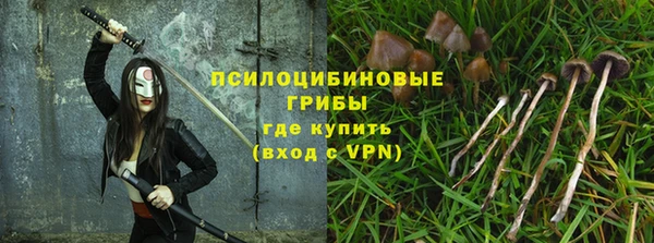 мдпв Нязепетровск