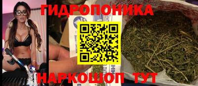 крисы Белорецк