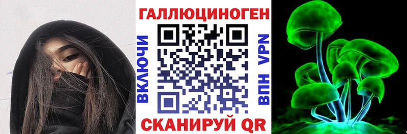 закладка  Моршанск  Галлюциногенные грибы GOLDEN TEACHER 