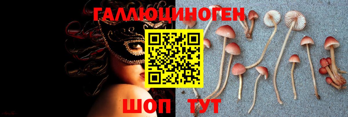 Псилоцибиновые грибы мухоморы Моршанск