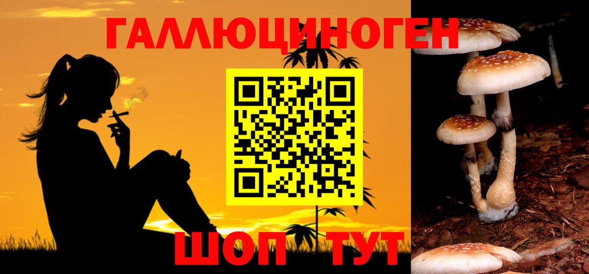 Псилоцибиновые грибы мицелий  Вход с VPN  Моршанск  Псилоцибиновые грибы Magic Shrooms 